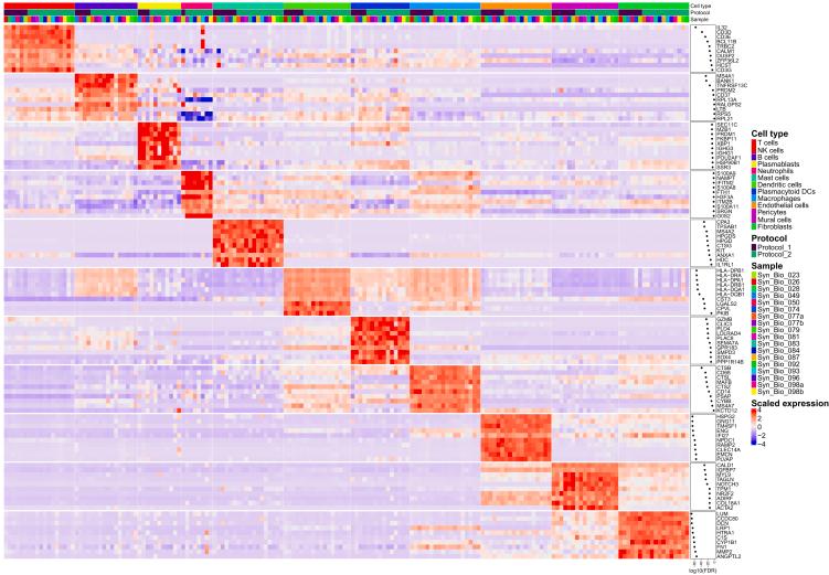 https://cdn.ncbi.nlm.nih.gov/pmc/blobs/f6d8/11144743/8e8909d9a1ae/gr3.jpg