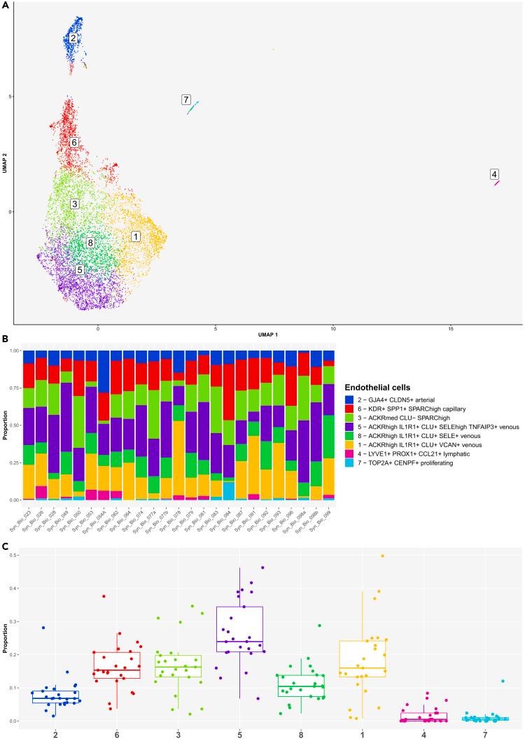 https://cdn.ncbi.nlm.nih.gov/pmc/blobs/f6d8/11144743/bba96062dd0e/gr7.jpg