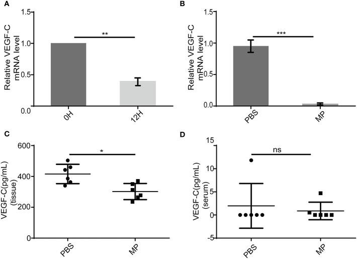 https://cdn.ncbi.nlm.nih.gov/pmc/blobs/f6d8/7907162/61438373d7f8/fonc-10-547683-g006.jpg