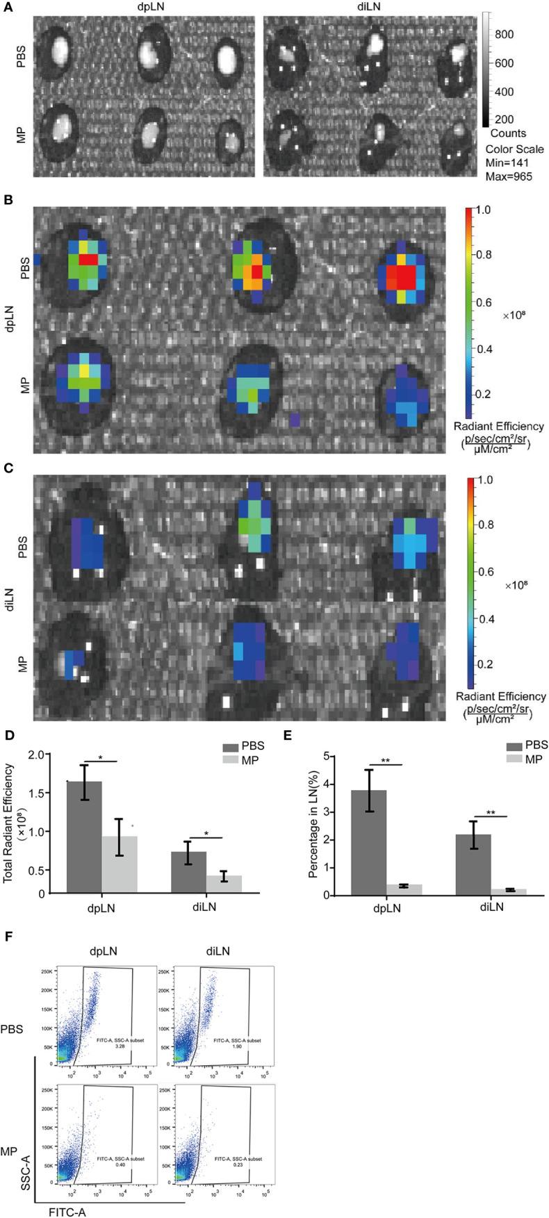 https://cdn.ncbi.nlm.nih.gov/pmc/blobs/f6d8/7907162/d38dc7d92cac/fonc-10-547683-g002.jpg