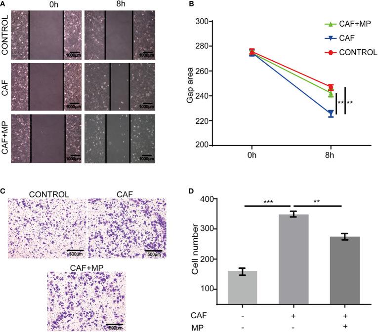 https://cdn.ncbi.nlm.nih.gov/pmc/blobs/f6d8/7907162/f66b4ac40f59/fonc-10-547683-g004.jpg