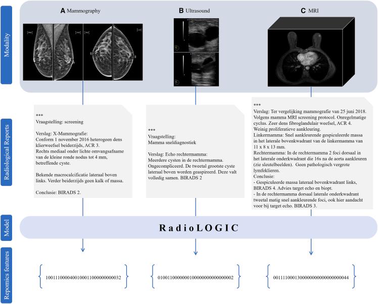 https://cdn.ncbi.nlm.nih.gov/pmc/blobs/f6db/10439251/d53e4b62019a/gr4.jpg
