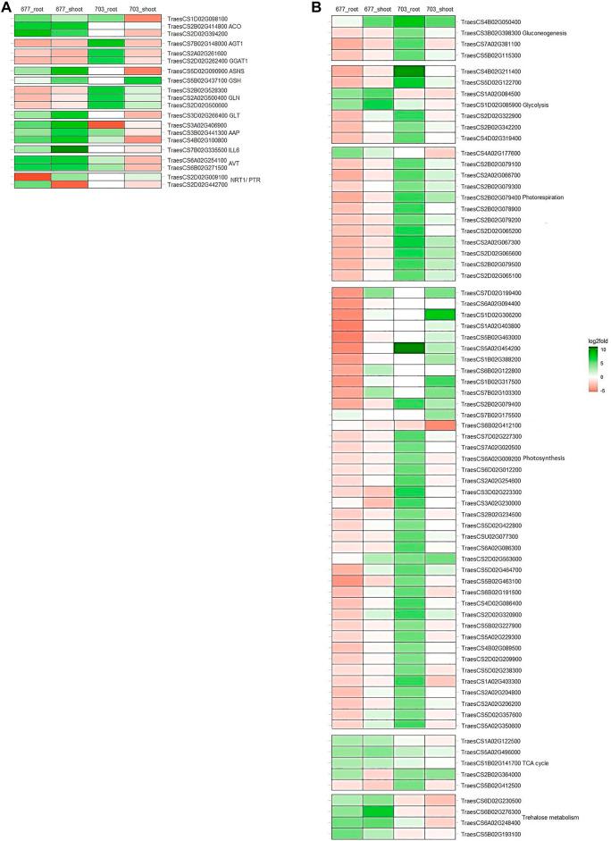 https://cdn.ncbi.nlm.nih.gov/pmc/blobs/f6db/9009086/f96bfaf6ab32/fgene-13-853910-g004.jpg