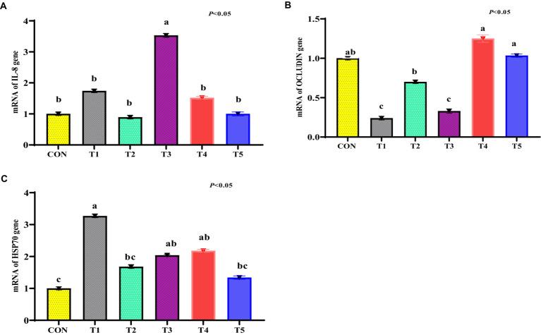 https://cdn.ncbi.nlm.nih.gov/pmc/blobs/f6dc/11215149/a7ba5d8a6cd7/fvets-11-1410580-g005.jpg