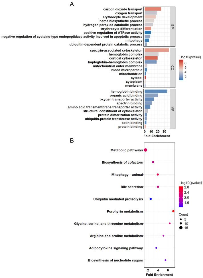 https://cdn.ncbi.nlm.nih.gov/pmc/blobs/f6dc/11353374/73f4ddbc6198/genes-15-01075-g003.jpg