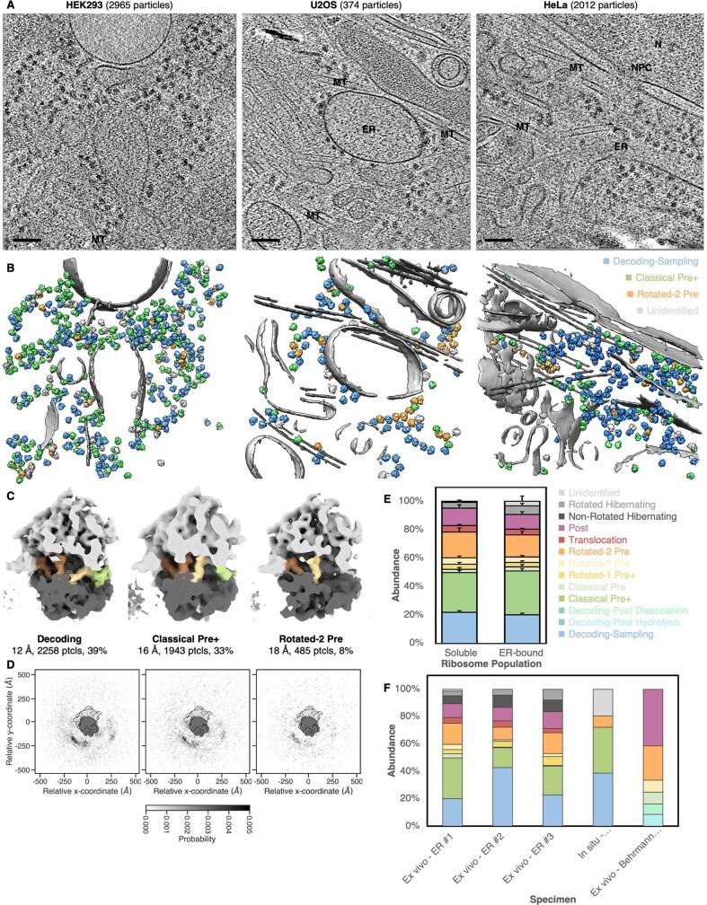 https://cdn.ncbi.nlm.nih.gov/pmc/blobs/f6dd/9892003/227c1cb6a241/41586_2022_5638_Fig8_ESM.jpg