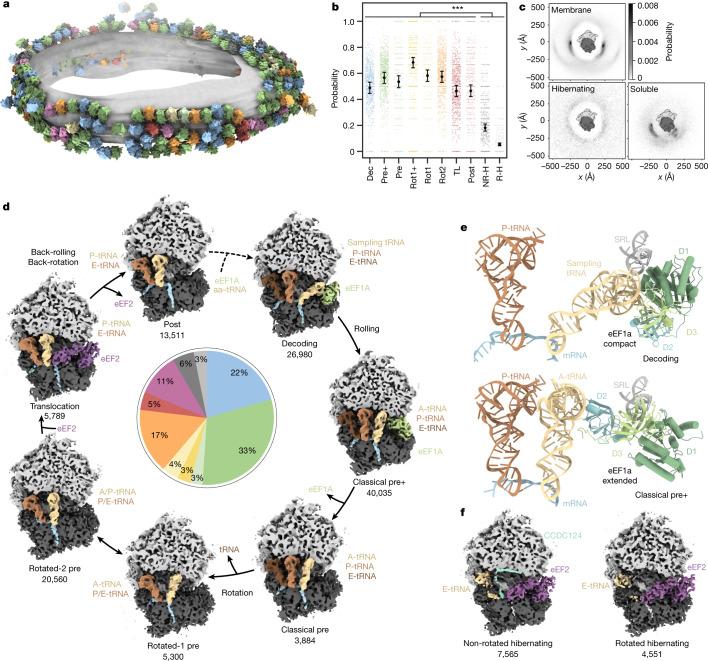 https://cdn.ncbi.nlm.nih.gov/pmc/blobs/f6dd/9892003/48adf261145a/41586_2022_5638_Fig1_HTML.jpg