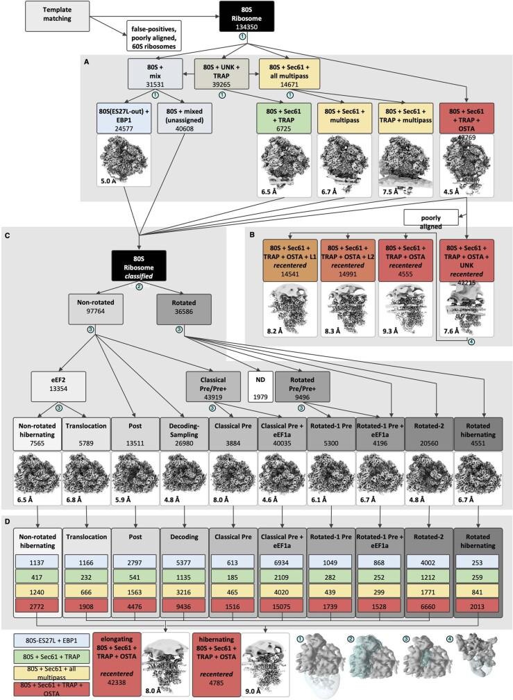 https://cdn.ncbi.nlm.nih.gov/pmc/blobs/f6dd/9892003/4a59df7fb7cd/41586_2022_5638_Fig5_ESM.jpg