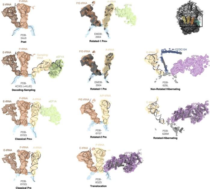 https://cdn.ncbi.nlm.nih.gov/pmc/blobs/f6dd/9892003/624249bfb3a6/41586_2022_5638_Fig6_ESM.jpg