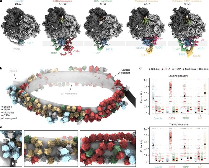 https://cdn.ncbi.nlm.nih.gov/pmc/blobs/f6dd/9892003/6f3299e8655f/41586_2022_5638_Fig2_HTML.jpg