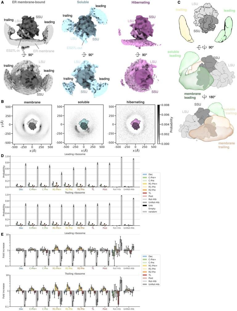 https://cdn.ncbi.nlm.nih.gov/pmc/blobs/f6dd/9892003/8b2b45635d46/41586_2022_5638_Fig7_ESM.jpg