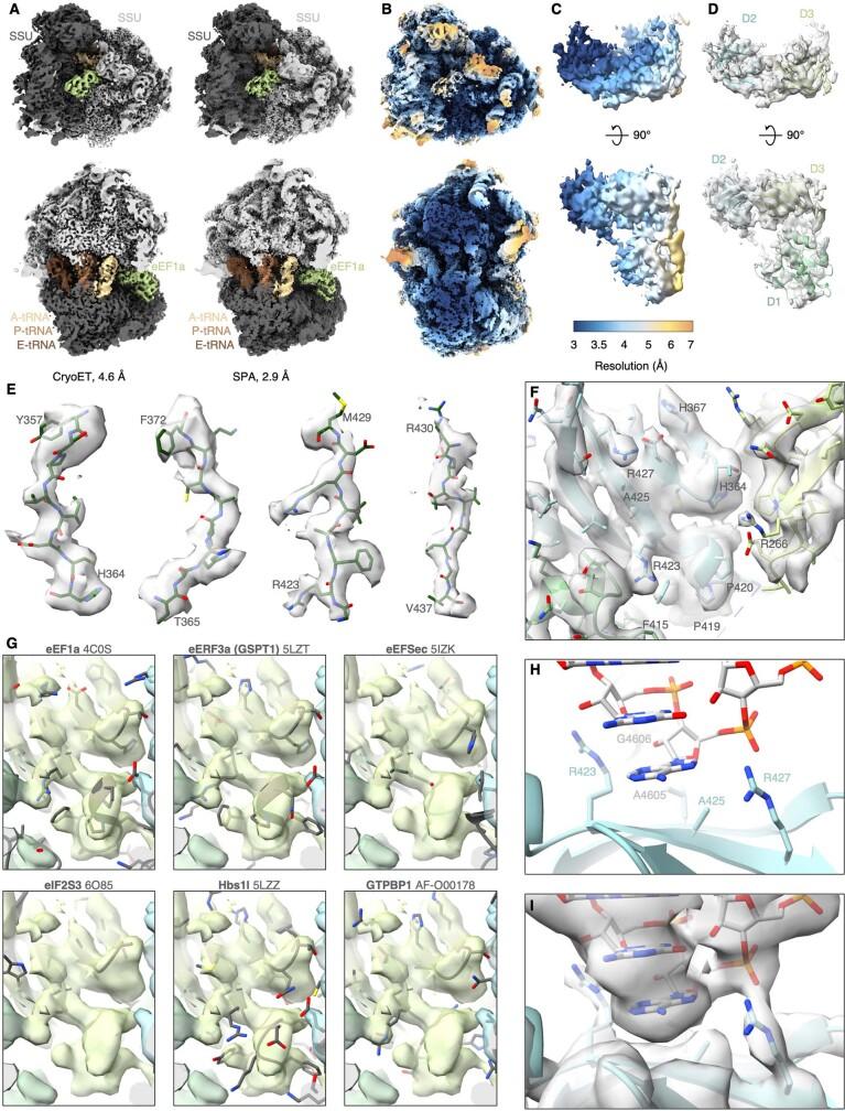 https://cdn.ncbi.nlm.nih.gov/pmc/blobs/f6dd/9892003/9de2ed048c01/41586_2022_5638_Fig10_ESM.jpg