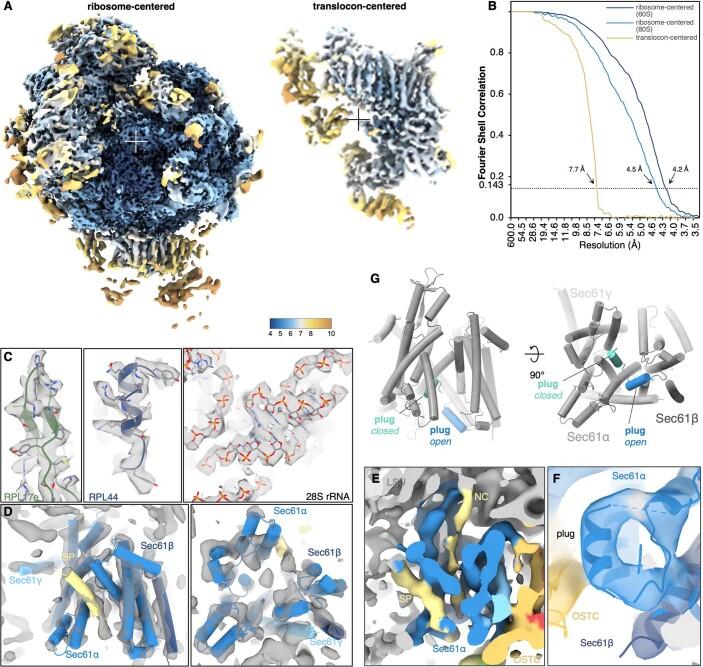 https://cdn.ncbi.nlm.nih.gov/pmc/blobs/f6dd/9892003/b16ad1086c8c/41586_2022_5638_Fig12_ESM.jpg
