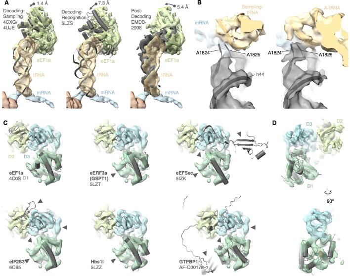 https://cdn.ncbi.nlm.nih.gov/pmc/blobs/f6dd/9892003/b2ef4f83da74/41586_2022_5638_Fig9_ESM.jpg