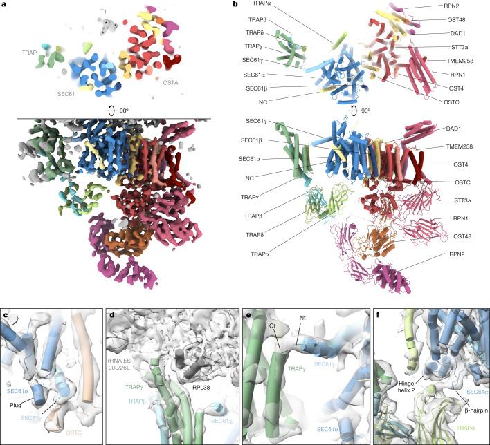 https://cdn.ncbi.nlm.nih.gov/pmc/blobs/f6dd/9892003/b52a4d084887/41586_2022_5638_Fig3_HTML.jpg