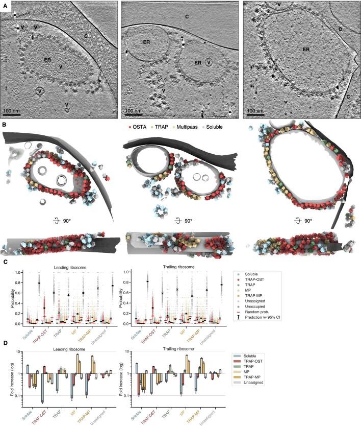 https://cdn.ncbi.nlm.nih.gov/pmc/blobs/f6dd/9892003/bcc5d5c6d65c/41586_2022_5638_Fig11_ESM.jpg