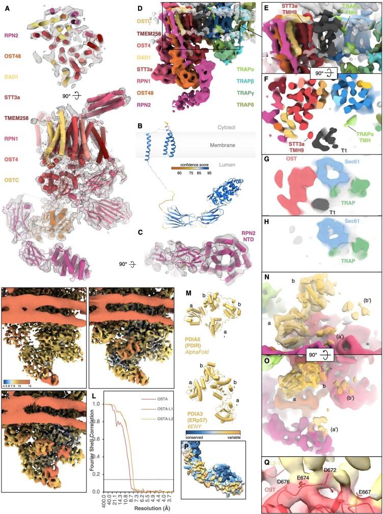 https://cdn.ncbi.nlm.nih.gov/pmc/blobs/f6dd/9892003/c360488ded16/41586_2022_5638_Fig14_ESM.jpg