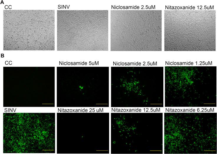 https://cdn.ncbi.nlm.nih.gov/pmc/blobs/f6e0/7126800/608e2320621a/figs2_lrg.jpg