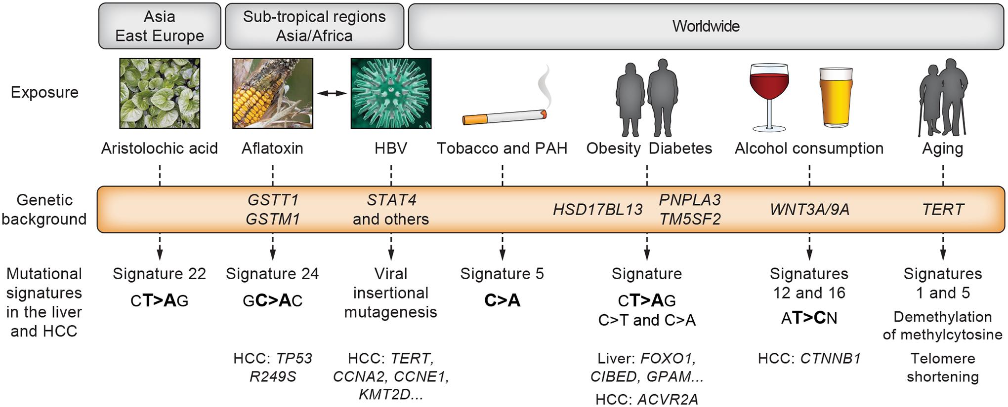 https://cdn.ncbi.nlm.nih.gov/pmc/blobs/f6e2/10448911/a604eac008c2/nihms-1922583-f0003.jpg