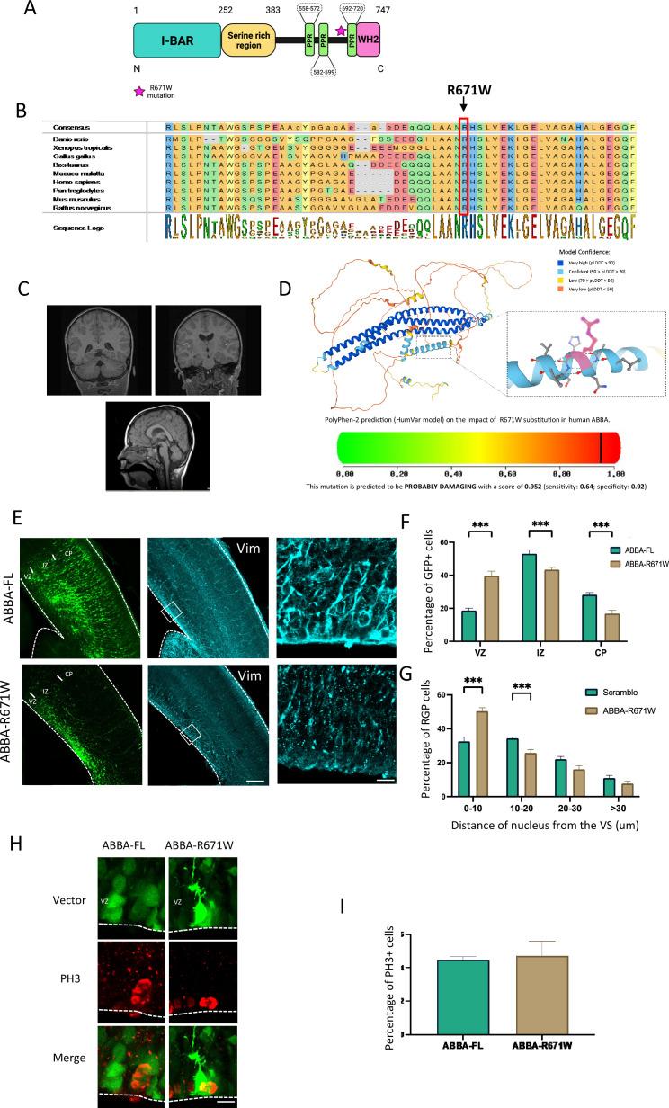 https://cdn.ncbi.nlm.nih.gov/pmc/blobs/f6e2/12286603/00e952704e8e/elife-92748-fig6.jpg