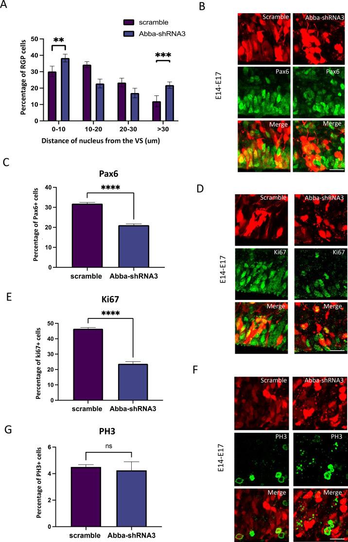 https://cdn.ncbi.nlm.nih.gov/pmc/blobs/f6e2/12286603/51866b825b41/elife-92748-fig2.jpg