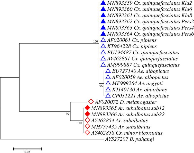 https://cdn.ncbi.nlm.nih.gov/pmc/blobs/f6e2/7425011/4d259e4b3234/13071_2020_4277_Fig4_HTML.jpg