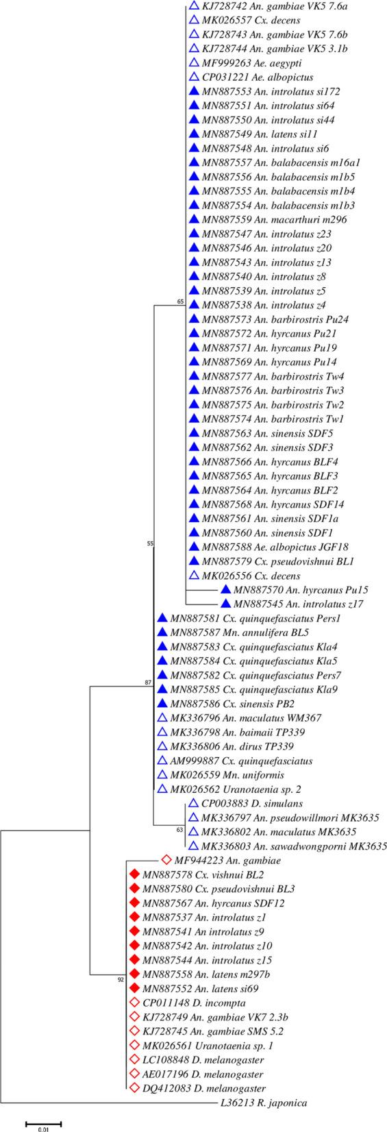 https://cdn.ncbi.nlm.nih.gov/pmc/blobs/f6e2/7425011/913f9cfce9e7/13071_2020_4277_Fig5_HTML.jpg