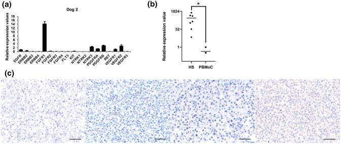 https://cdn.ncbi.nlm.nih.gov/pmc/blobs/f6e3/10212919/a992cb07bcde/41598_2023_35813_Fig2_HTML.jpg