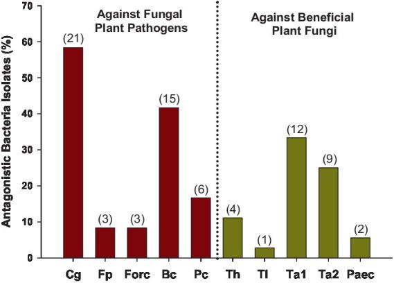 https://cdn.ncbi.nlm.nih.gov/pmc/blobs/f6e3/12246977/085a6d9a5771/fmicb-16-1484219-g011.jpg