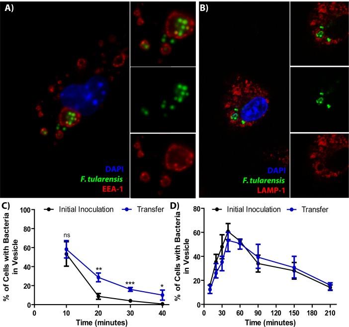 https://cdn.ncbi.nlm.nih.gov/pmc/blobs/f6e3/6499538/62c16a61d234/elife-45252-fig2.jpg