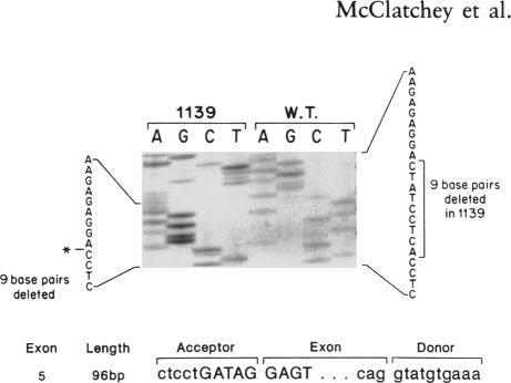 https://cdn.ncbi.nlm.nih.gov/pmc/blobs/f6e5/1683684/d67eea6b5c23/ajhg00095-0030-a.jpg