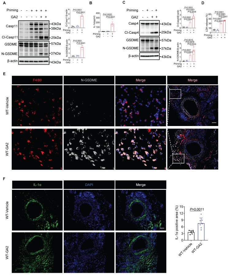 https://cdn.ncbi.nlm.nih.gov/pmc/blobs/f6e6/11667815/31b5a0b31dfe/ijbsv21p0433g003.jpg