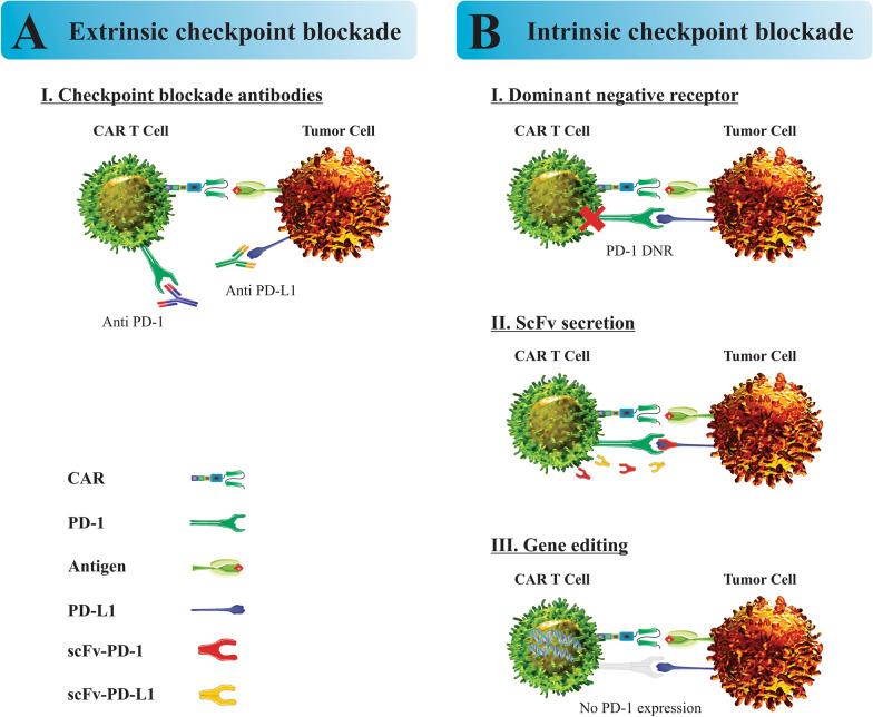 https://cdn.ncbi.nlm.nih.gov/pmc/blobs/f6e6/8974159/b313fb7ff7f5/13287_2022_2819_Fig2_HTML.jpg