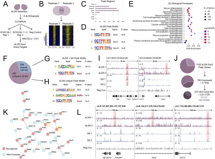 https://cdn.ncbi.nlm.nih.gov/pmc/blobs/f6e7/12352279/e38ce8a8136d/biolopen-14-062014-g2.jpg