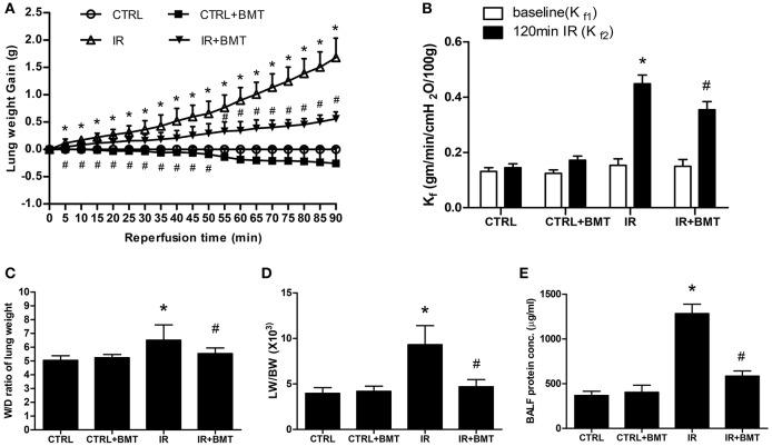 https://cdn.ncbi.nlm.nih.gov/pmc/blobs/f6e7/6146090/c784feedac17/fimmu-09-02049-g0001.jpg