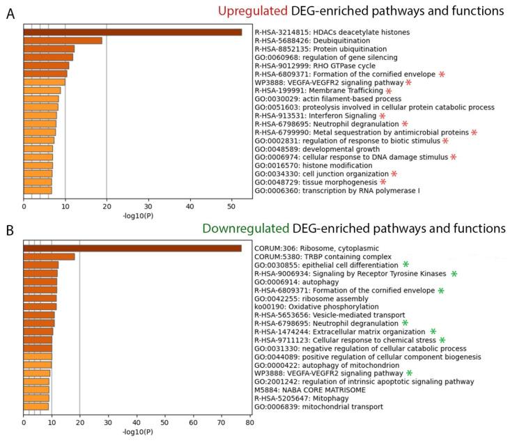 https://cdn.ncbi.nlm.nih.gov/pmc/blobs/f6e8/9101153/8d71bff4b346/ijms-23-04983-g002.jpg