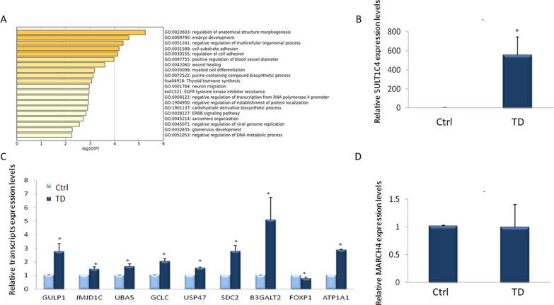https://cdn.ncbi.nlm.nih.gov/pmc/blobs/f6ea/9482206/d3eb52fa6aa9/13287_2022_3159_Fig2_HTML.jpg