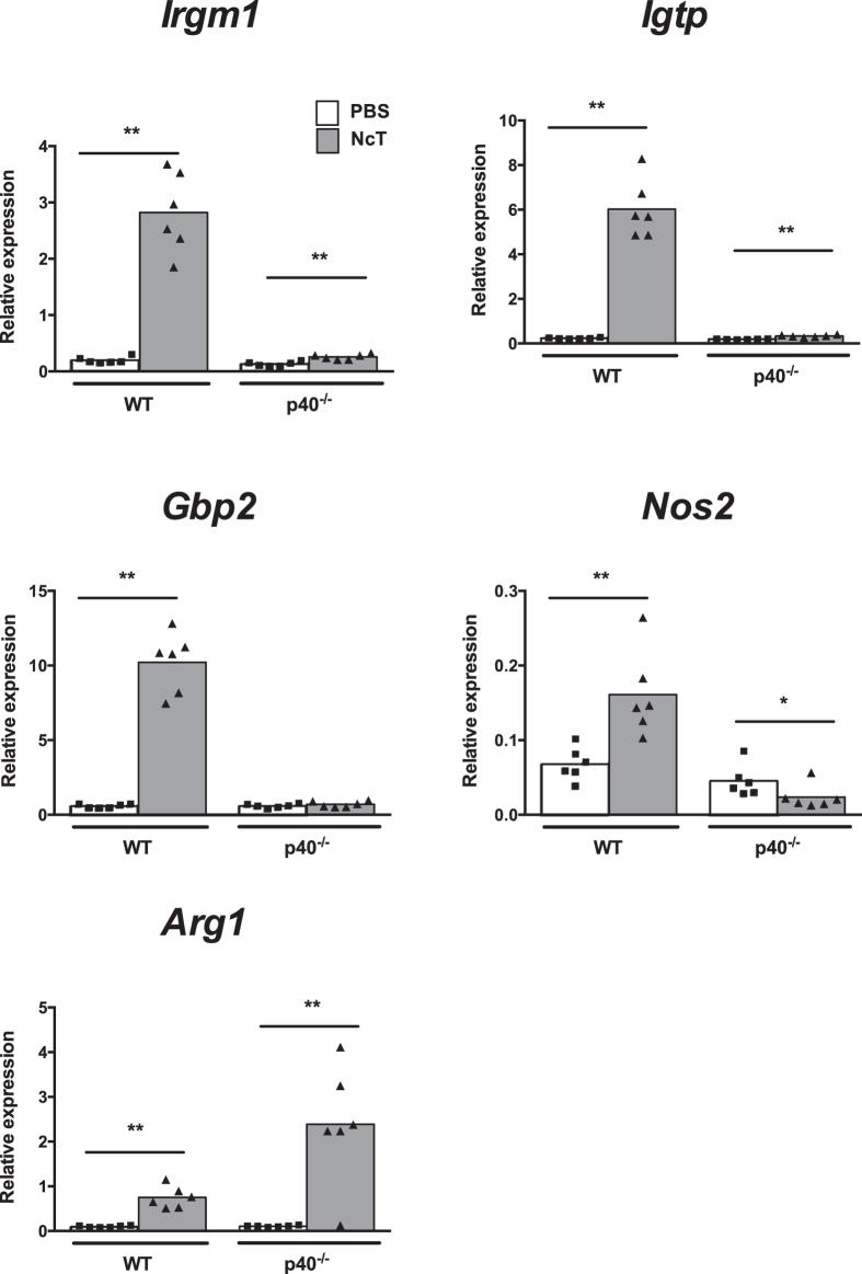 https://cdn.ncbi.nlm.nih.gov/pmc/blobs/f6eb/4802212/e94ba443376f/srep23475-f3.jpg