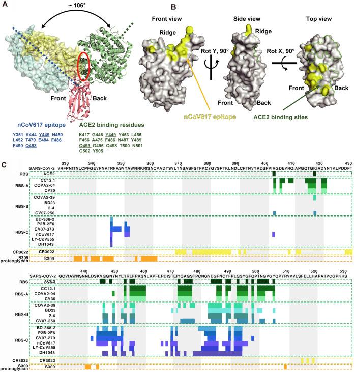 https://cdn.ncbi.nlm.nih.gov/pmc/blobs/f6eb/8515945/05f016b487a2/spectrum.01352-21-f005.jpg