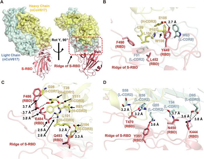 https://cdn.ncbi.nlm.nih.gov/pmc/blobs/f6eb/8515945/57e65cbcf5eb/spectrum.01352-21-f004.jpg