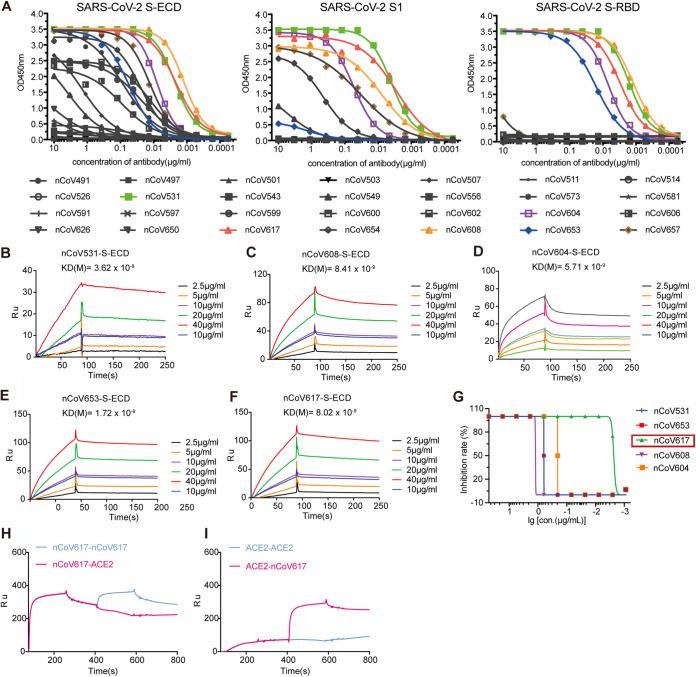 https://cdn.ncbi.nlm.nih.gov/pmc/blobs/f6eb/8515945/f202f940b699/spectrum.01352-21-f002.jpg