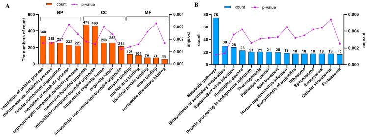 https://cdn.ncbi.nlm.nih.gov/pmc/blobs/f6ec/11431121/6eb73f7e6141/genes-15-01208-g006.jpg