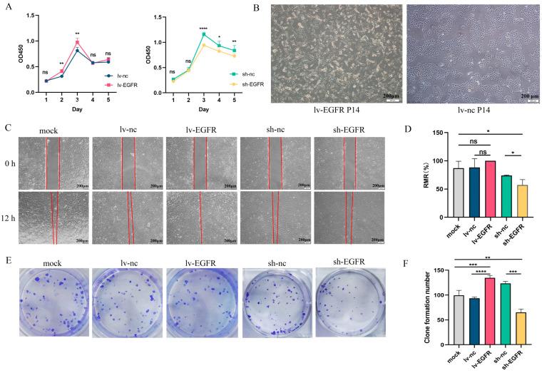 https://cdn.ncbi.nlm.nih.gov/pmc/blobs/f6ec/11431121/d5c2965192a3/genes-15-01208-g003.jpg