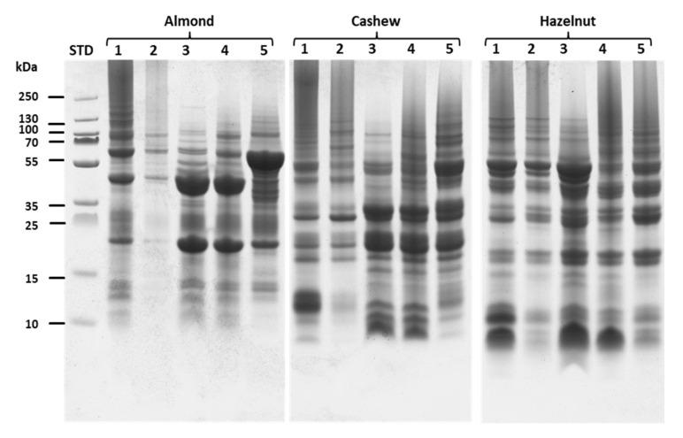 https://cdn.ncbi.nlm.nih.gov/pmc/blobs/f6ec/8348345/5787c6659ec3/molecules-26-04698-g001.jpg