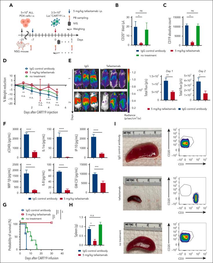 https://cdn.ncbi.nlm.nih.gov/pmc/blobs/f6ed/10808250/575d0171cd41/BLOOD_BLD-2022-018905-gr6.jpg