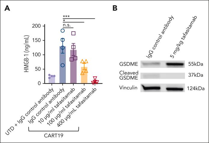 https://cdn.ncbi.nlm.nih.gov/pmc/blobs/f6ed/10808250/8ca7f95ca4cb/BLOOD_BLD-2022-018905-gr7.jpg