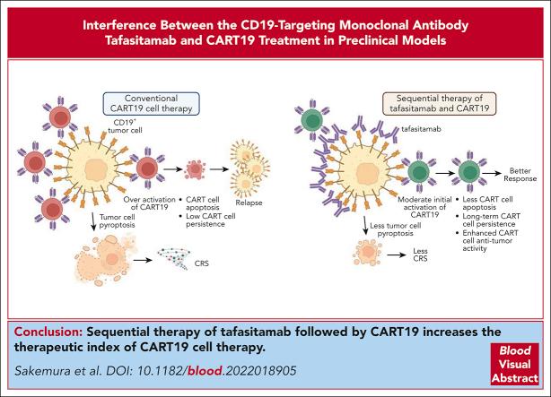 https://cdn.ncbi.nlm.nih.gov/pmc/blobs/f6ed/10808250/db11084cbebb/BLOOD_BLD-2022-018905-ga1.jpg