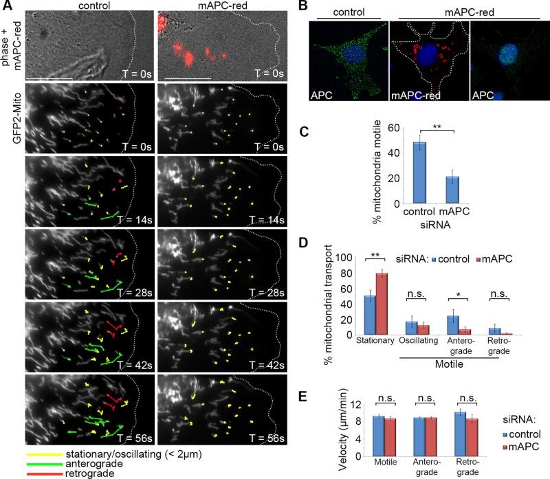 https://cdn.ncbi.nlm.nih.gov/pmc/blobs/f6ed/4751598/6a4e01c8f5bf/466fig4.jpg