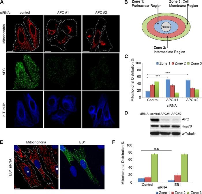 https://cdn.ncbi.nlm.nih.gov/pmc/blobs/f6ed/4751598/cb6535131400/466fig1.jpg