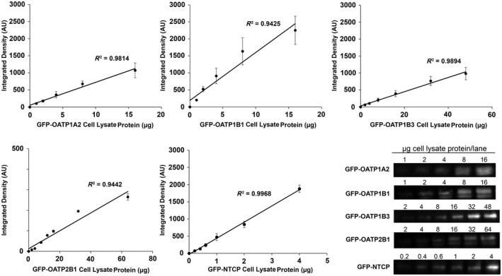 https://cdn.ncbi.nlm.nih.gov/pmc/blobs/f6f0/7193130/274026f773ca/HEP4-4-739-g002.jpg
